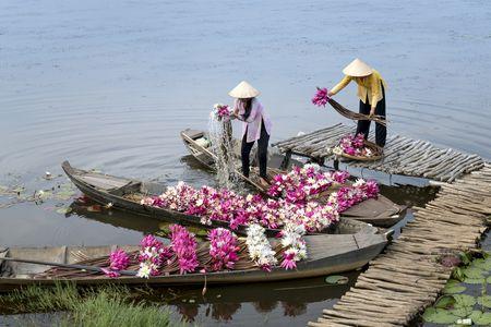 visiteurs voyage vietnam